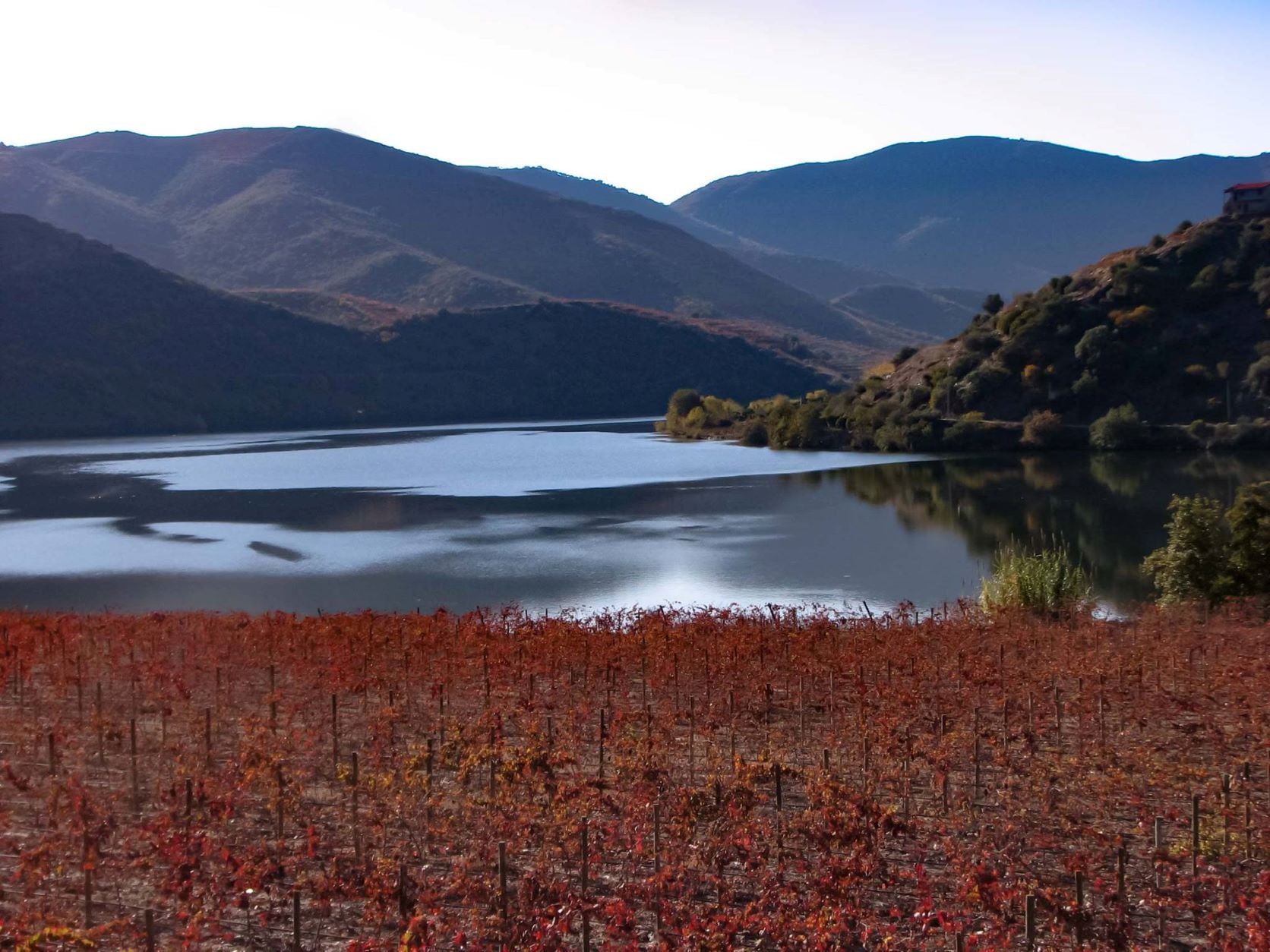 Barao de Vilar - Vinhos S.A.