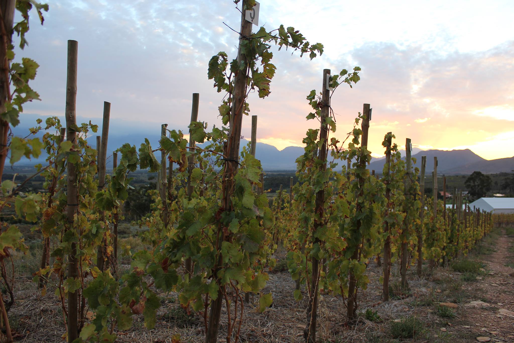 Breede River Valley