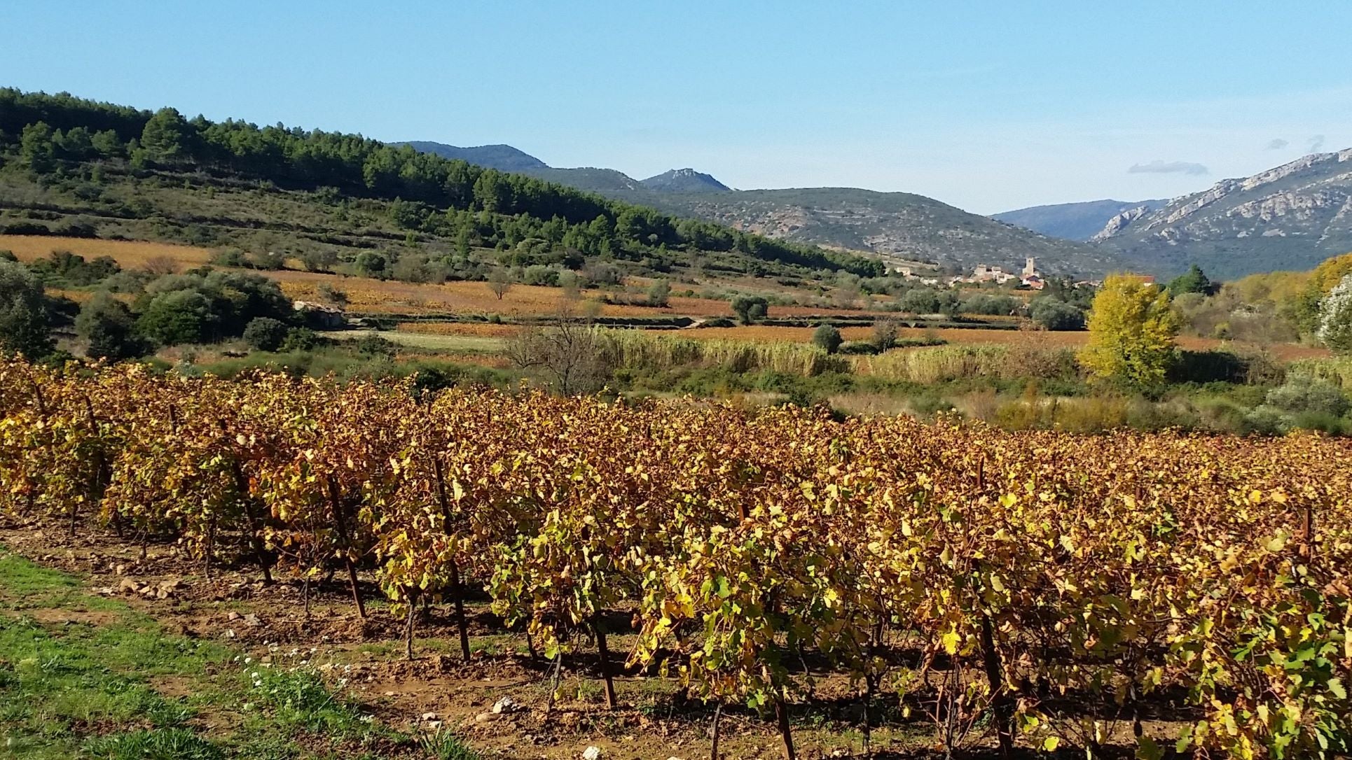 Clos Padulis
