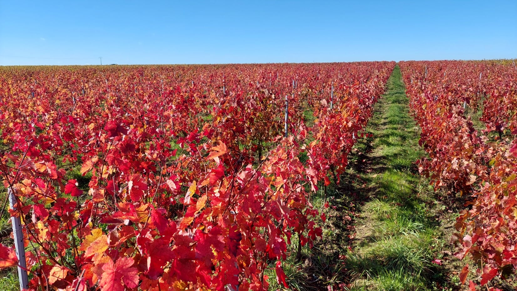 Domaine Bouchaud