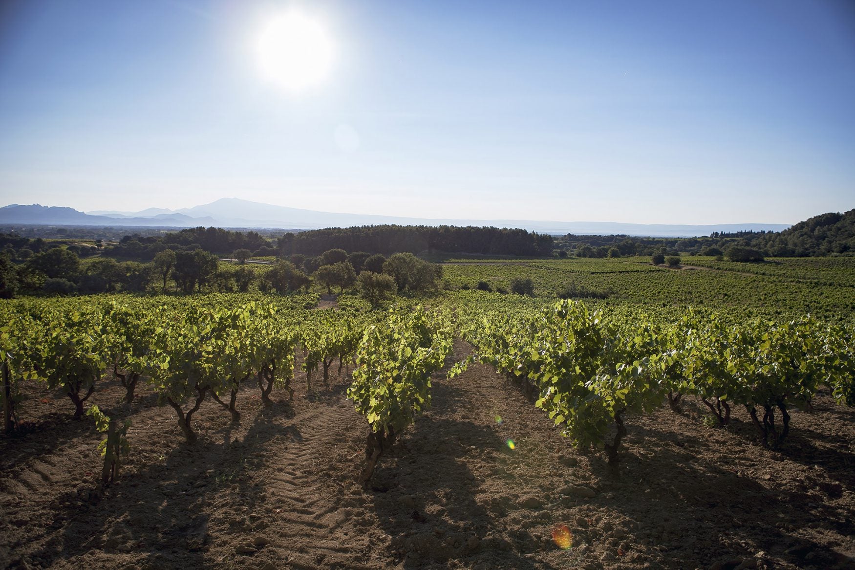 Domaine Giraud