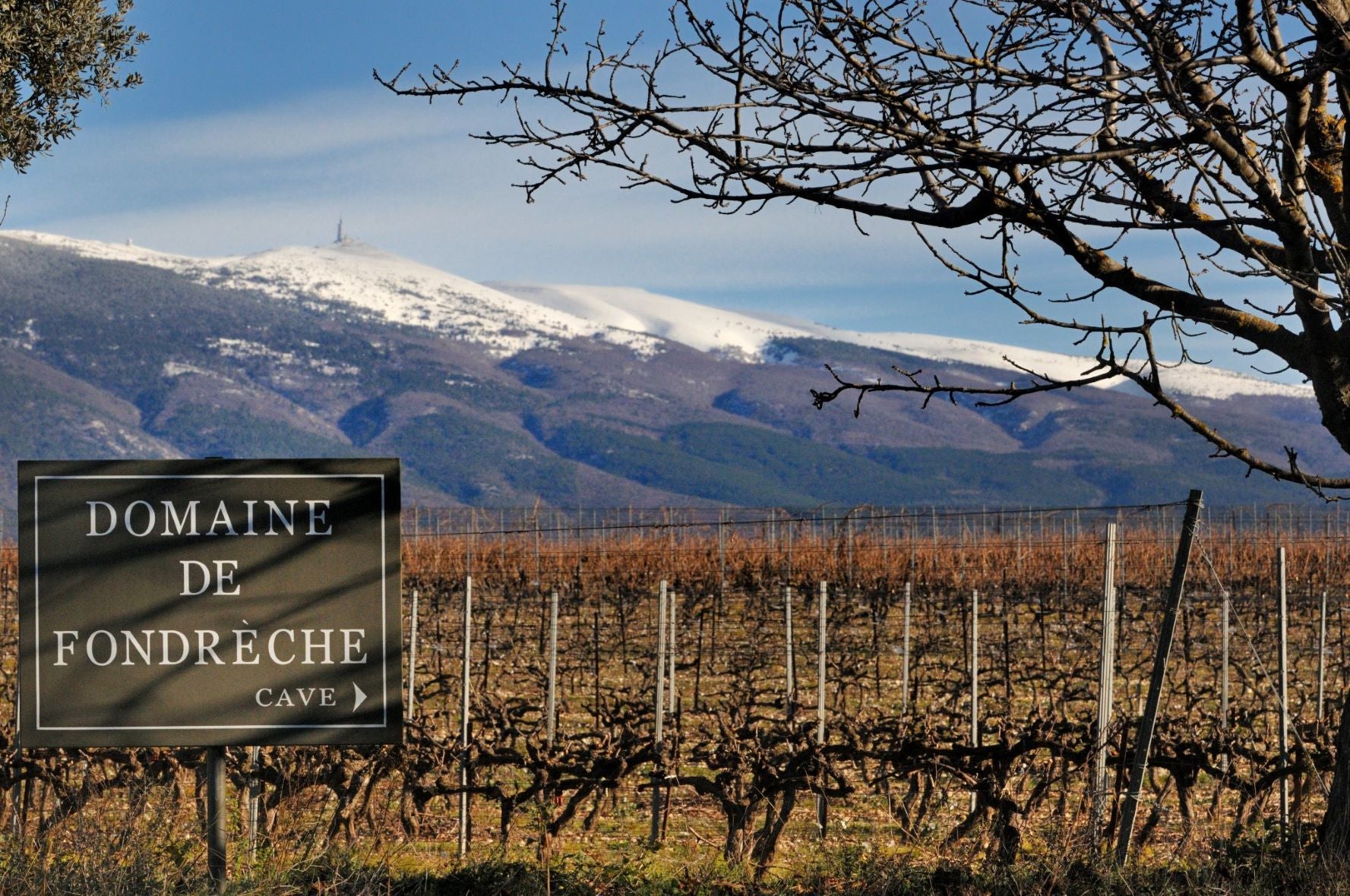 Domaine de Fondreche