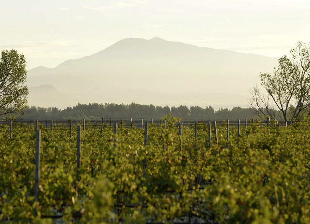 Domaine de la Janasse