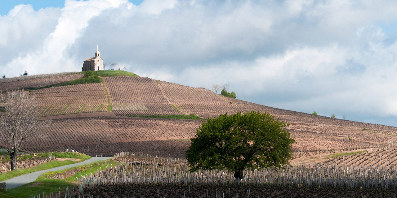 Domaine la Madone