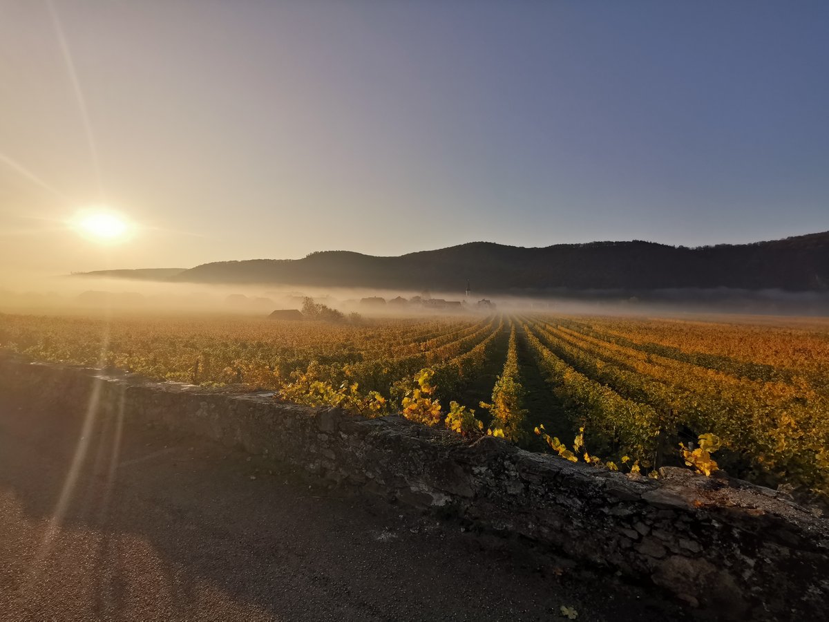 Weingut Emmerich Knoll