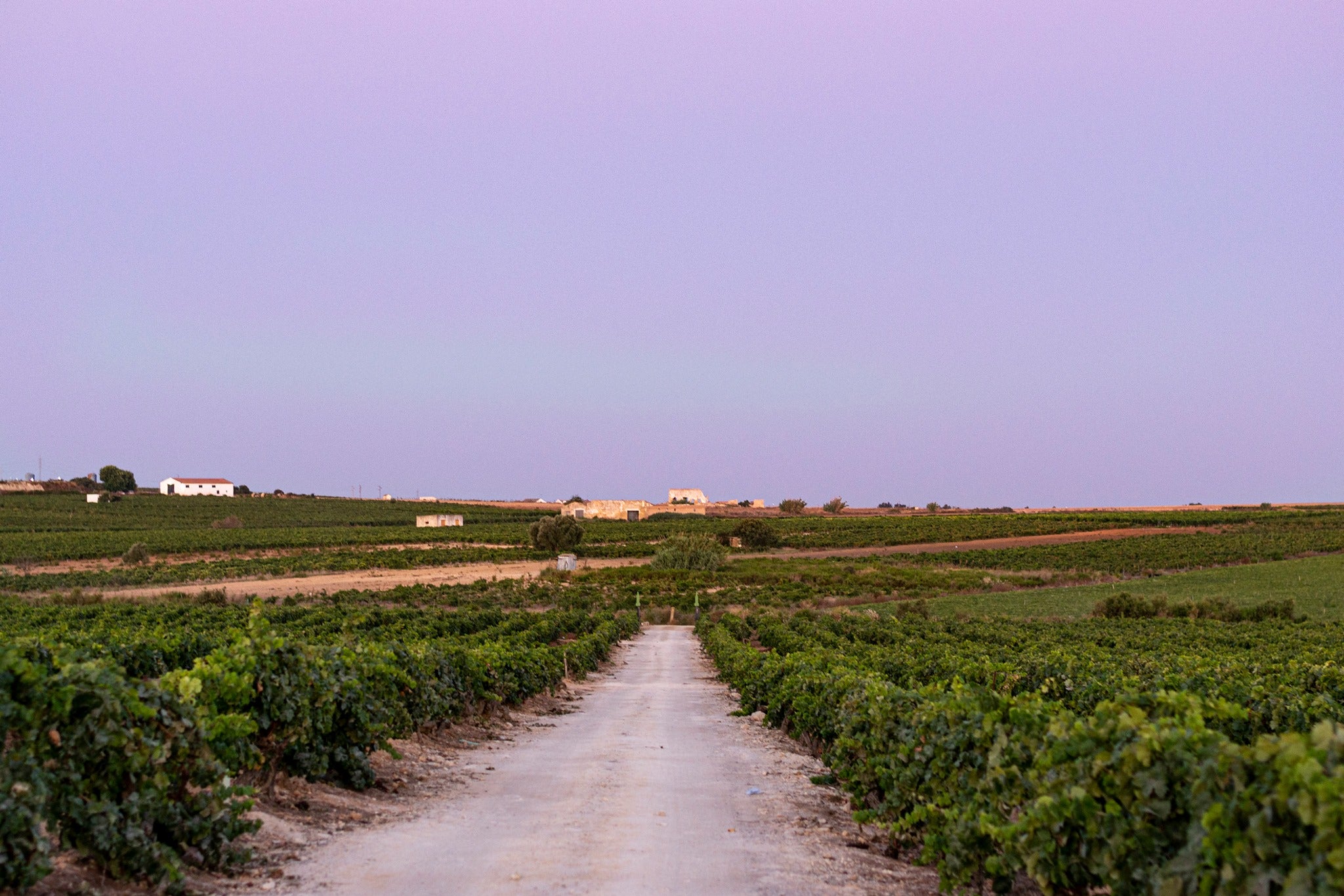 Jerez