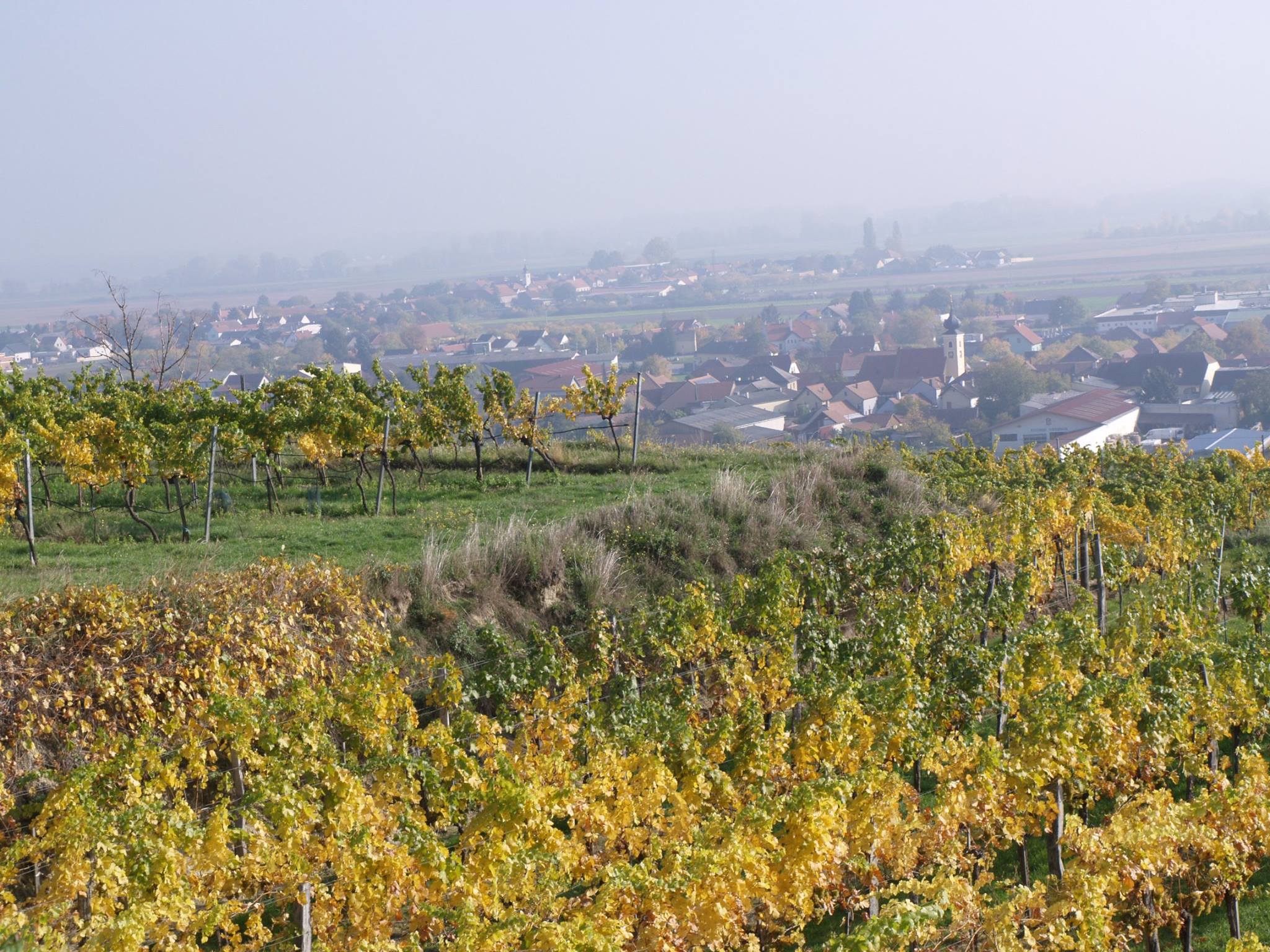 Kremstal