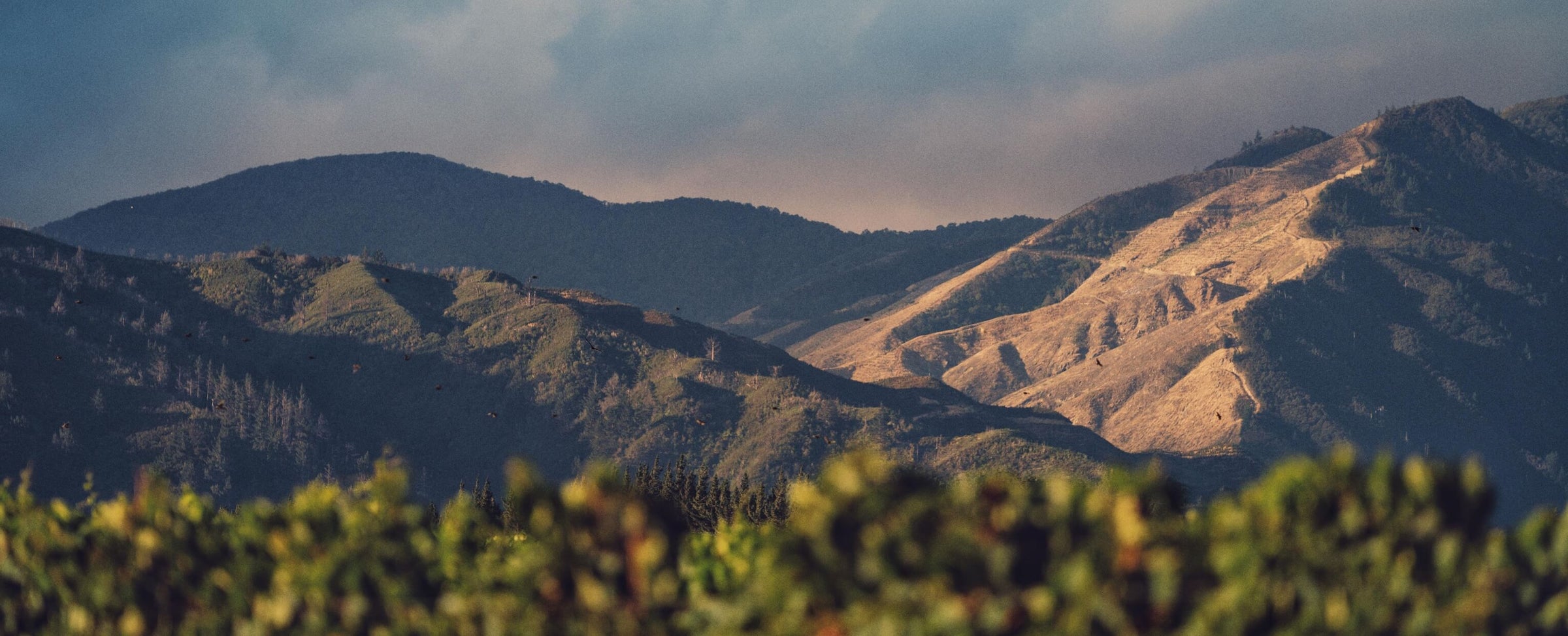 Marlborough