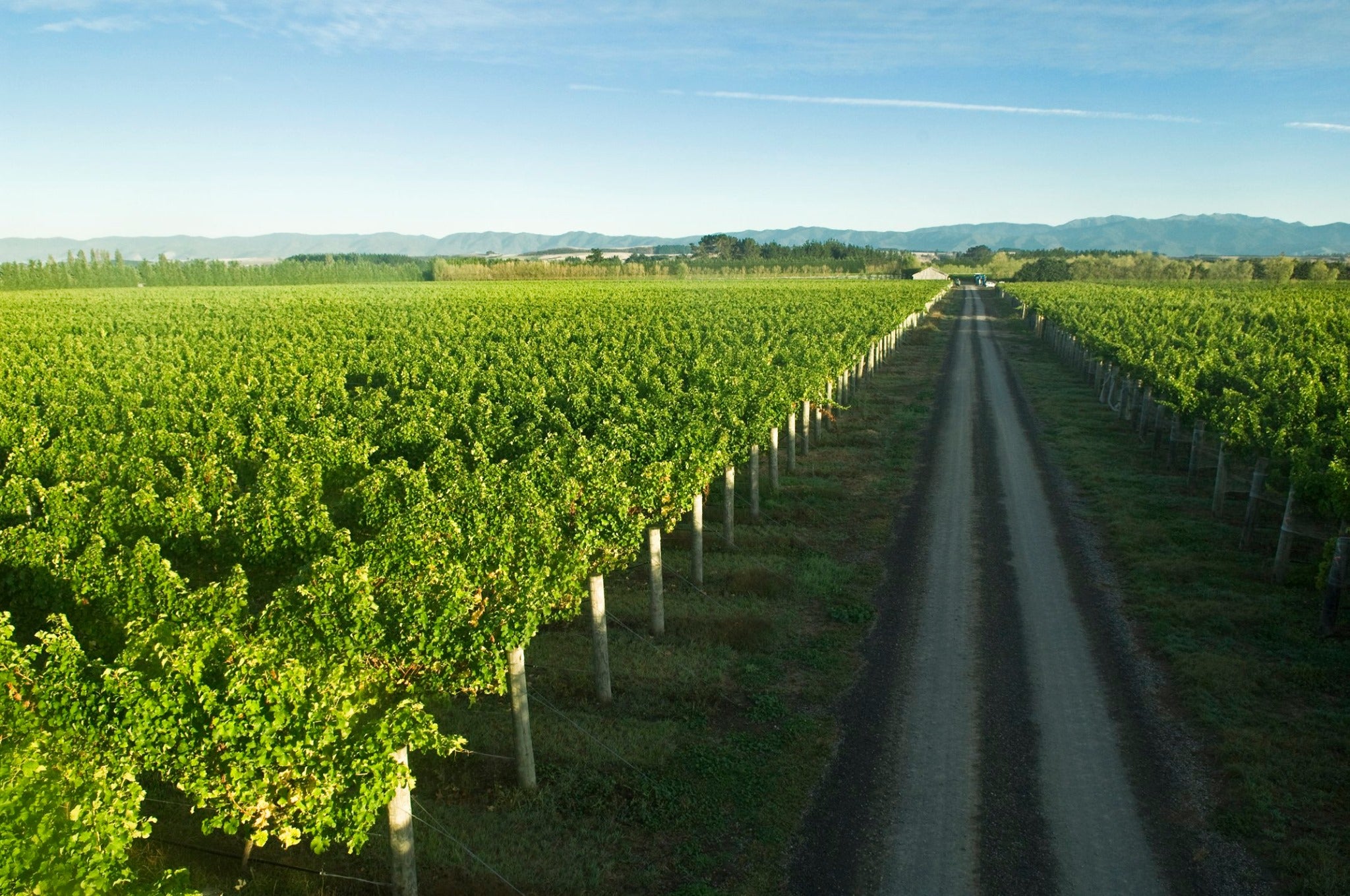 Martinborough