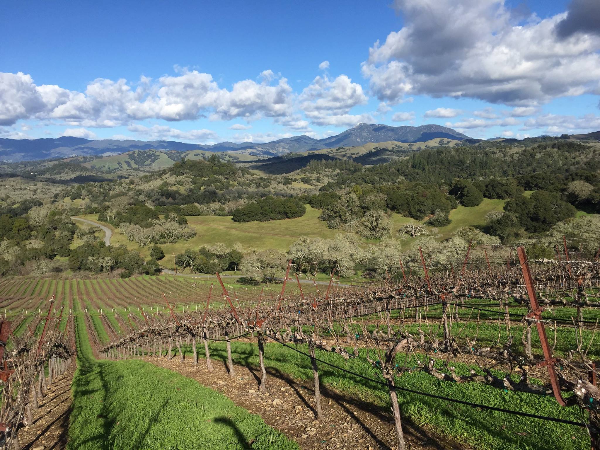 McLaren Vale