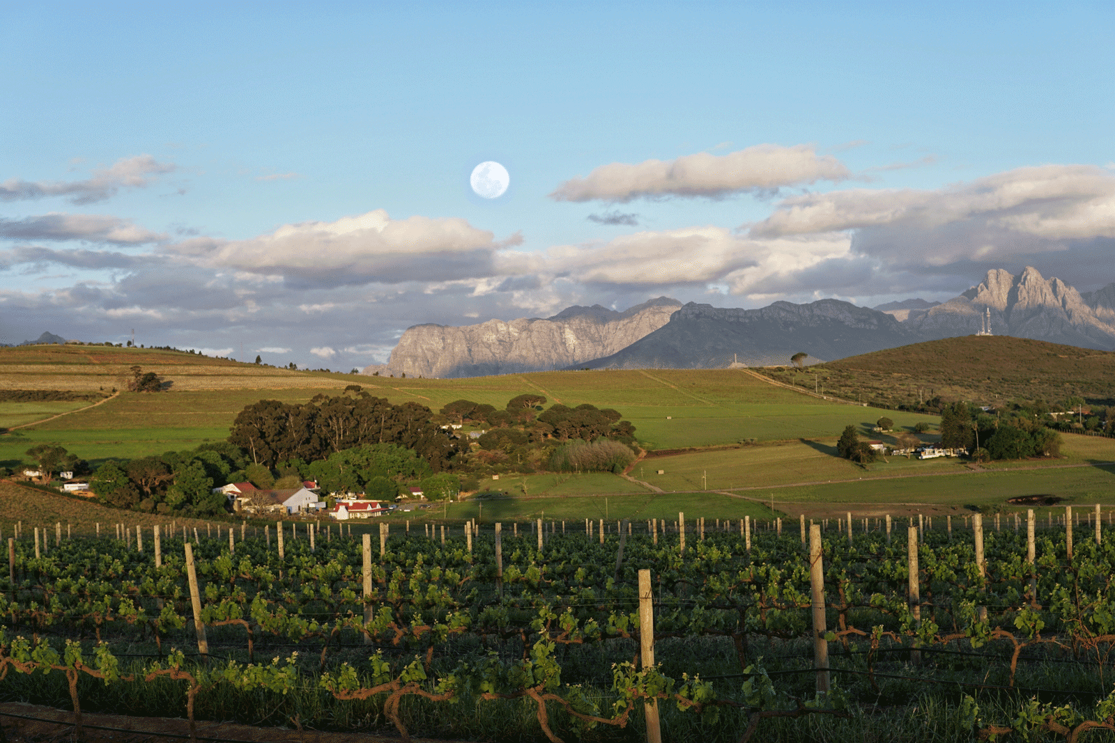 Middelvlei