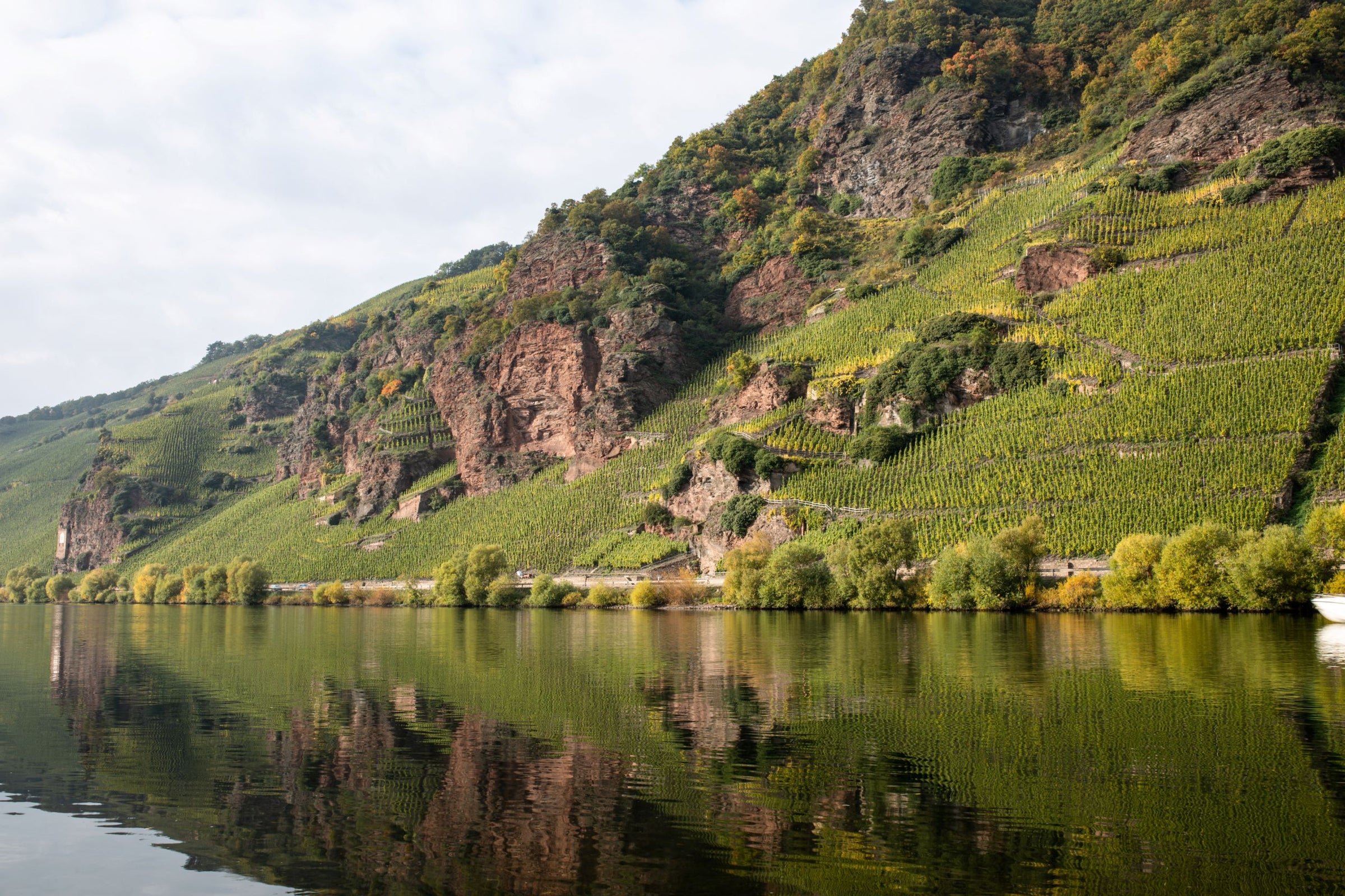 Mosel