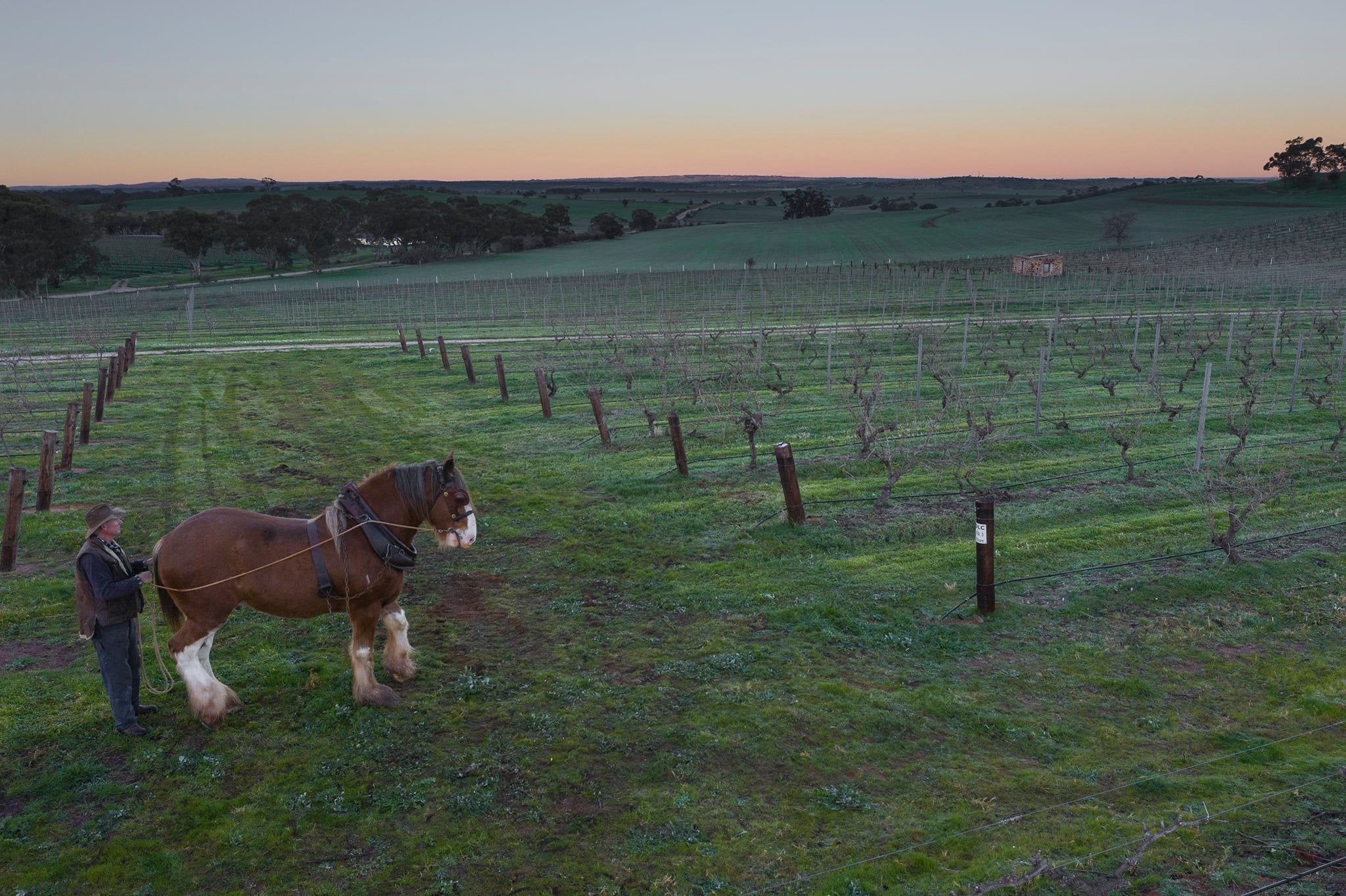 Torbreck Vintners