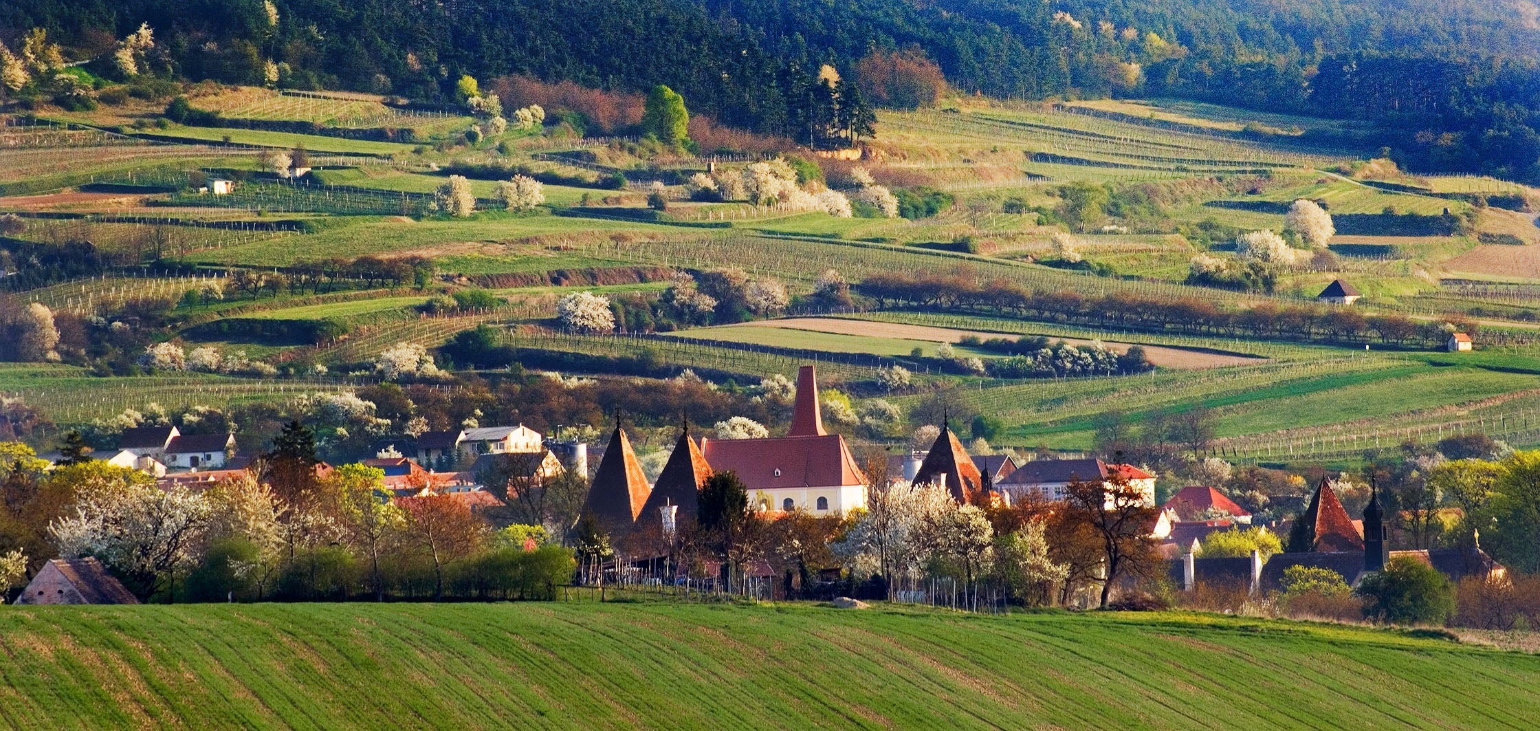 Traisental