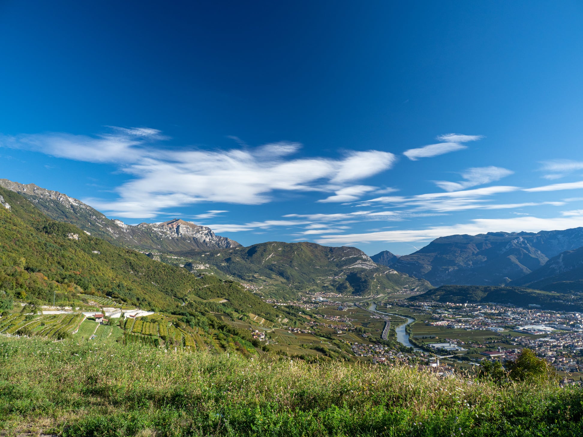 Trentino