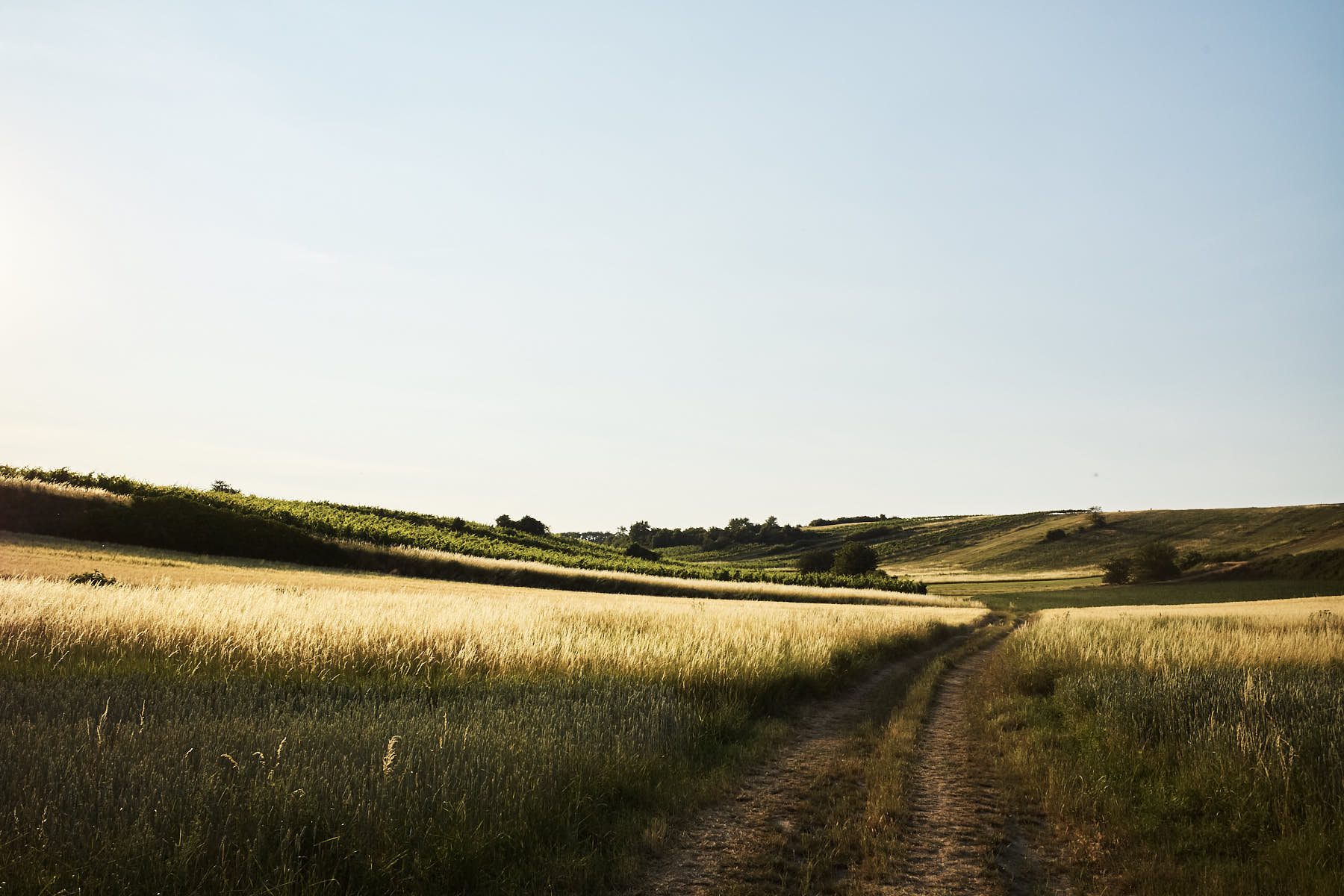 Weinviertel