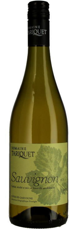 Sauvignon Blanc
