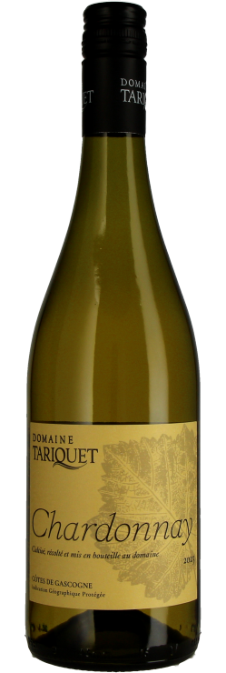 Chardonnay