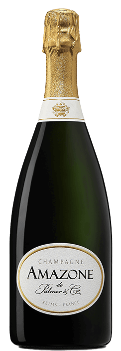 Palmer Amazone de Palmer Brut