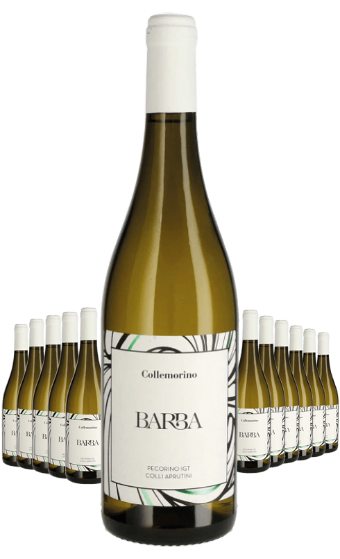 Paket 12 Flaschen Barba Collemorino Pecorino