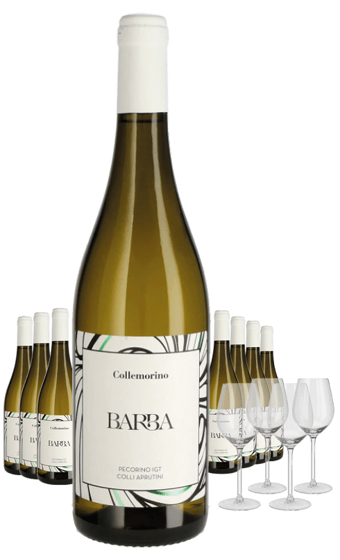 Paket 8 Flaschen Barba Collemorino Pecorino + 4 Gläser