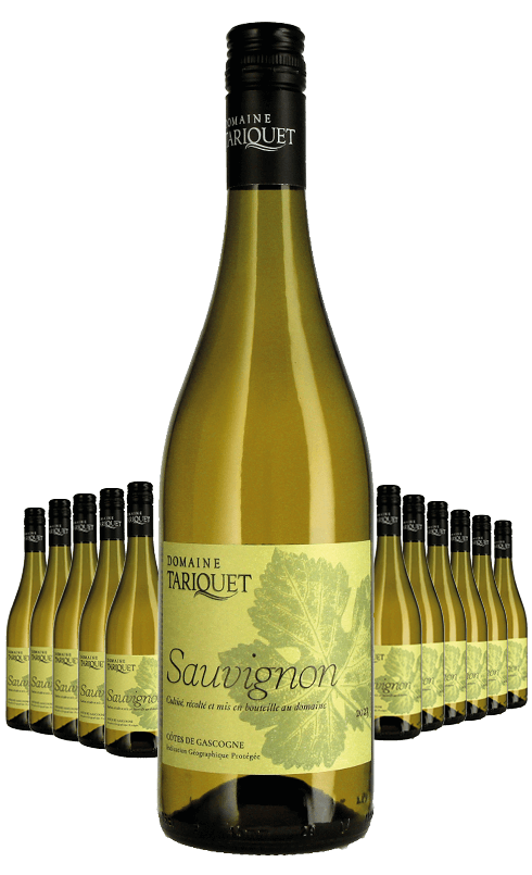 Paket 12 Flaschen Tariquet Sauvignon Blanc