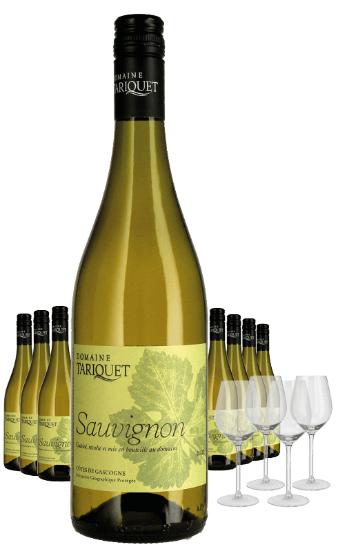 Paket 8 Flaschen Tariquet Sauvignon Blanc + 4 Gläser