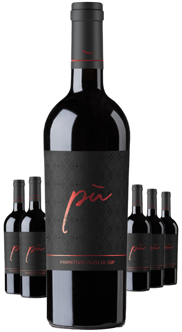 Paket 6 Flaschen Piu Primitivo
