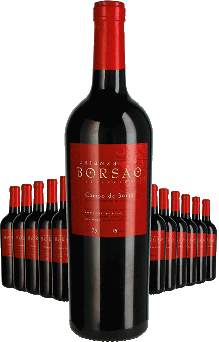Paket 12 Flaschen Bodegas Borsao Crianza Selección