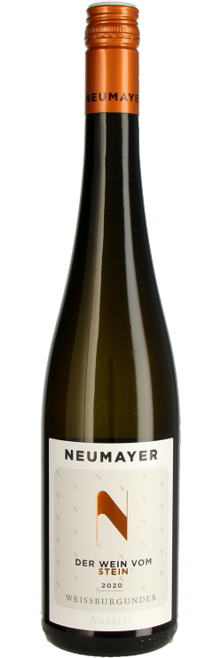 Der Wein vom Stein Weissburgunder