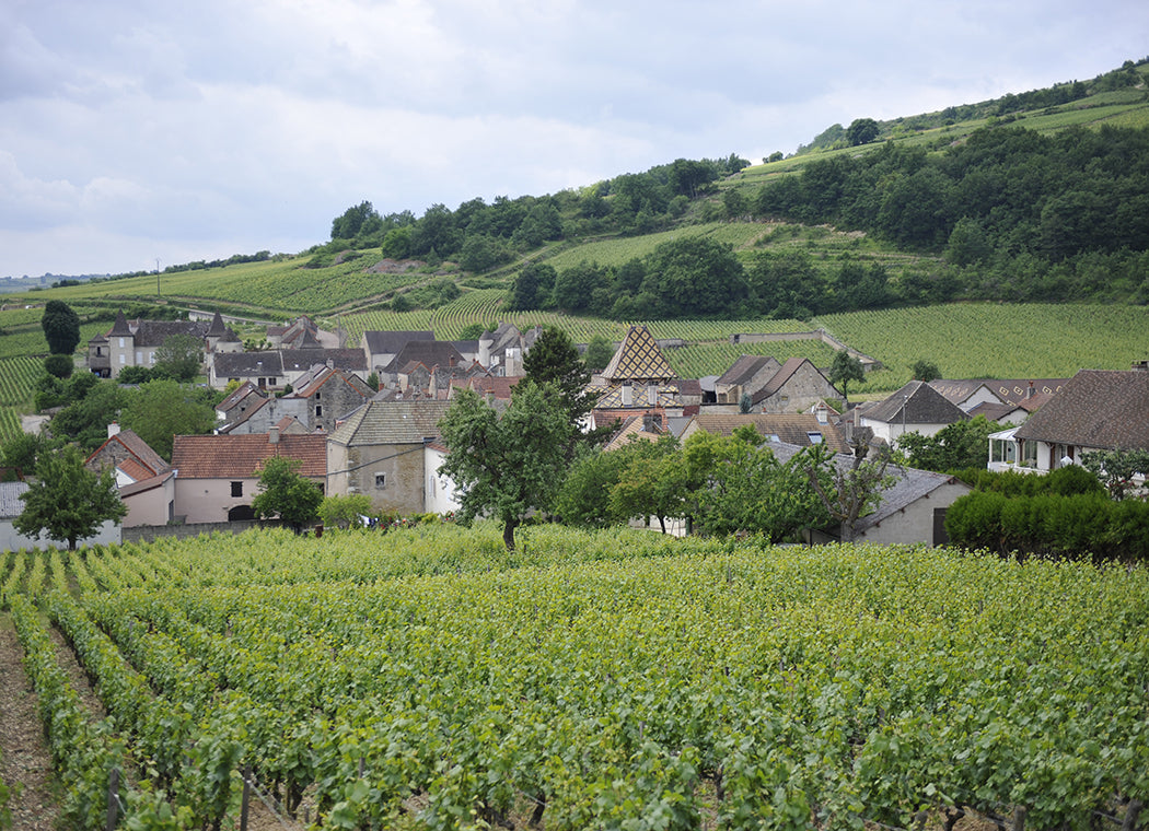 Domaine Bachey-Legros