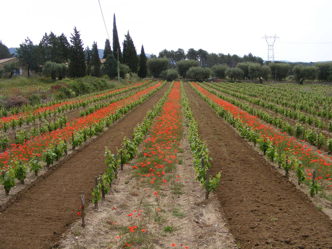 Bastide de La Ciselette