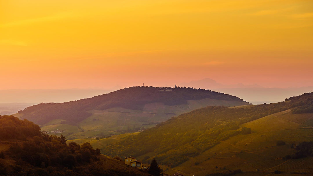 Beaujolais