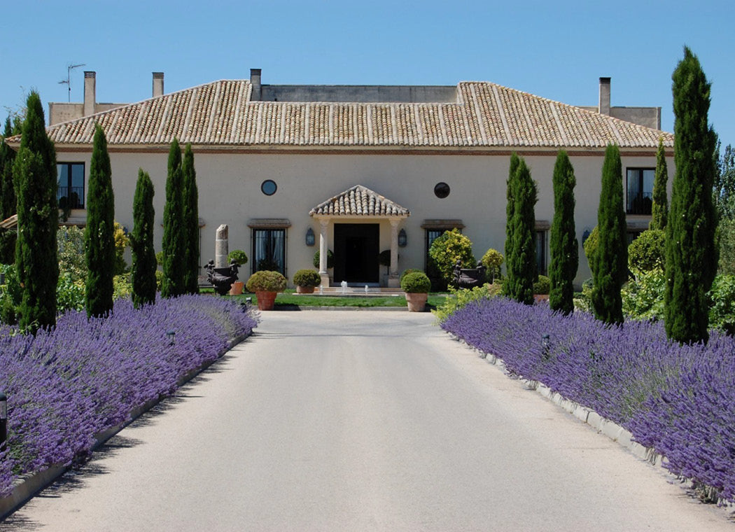 Bodegas y Viñedos Martuela Martué