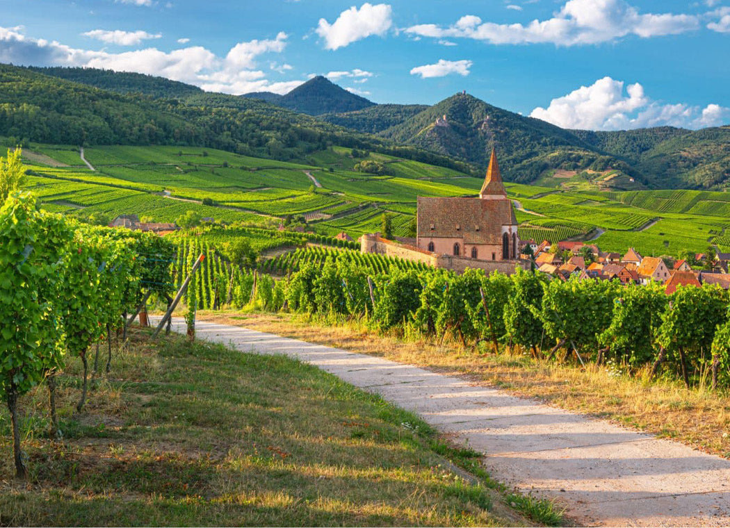 Cave Vinicole Hunawihr