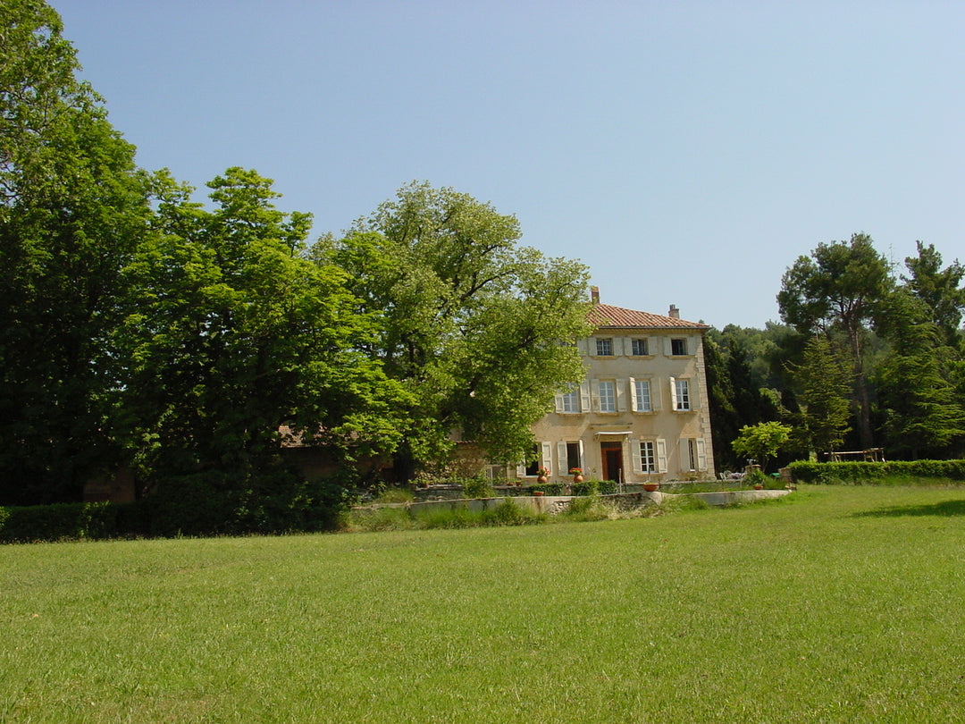 Château de Saint Cosme