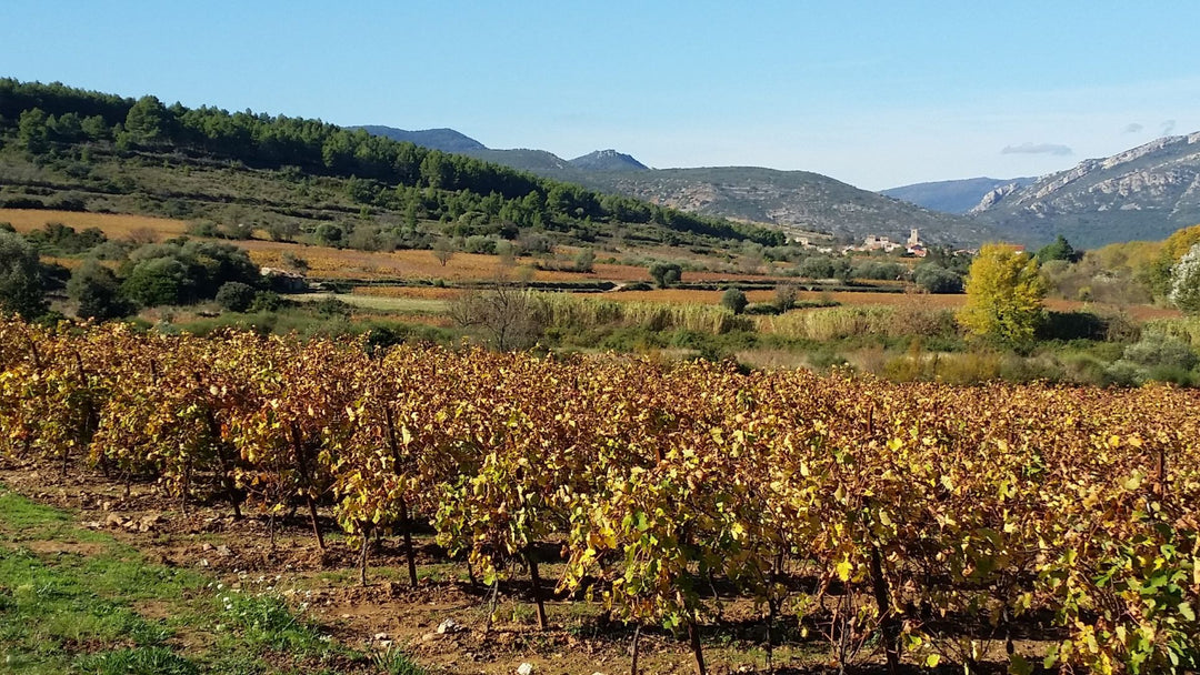 Clos Padulis