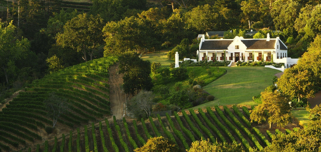 Constantia Glen