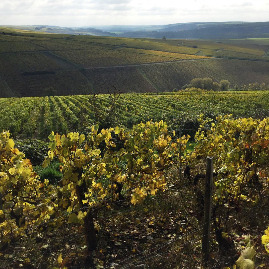 Domaine Billaud-Simon