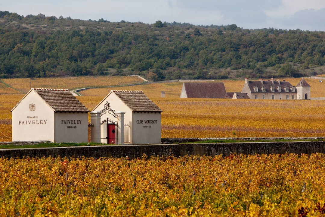 Domaine Faiveley