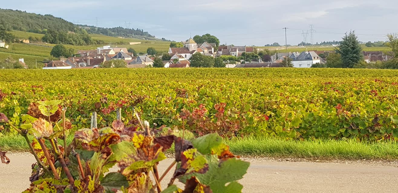 Domaine Truchetet – Weinzeche GmbH