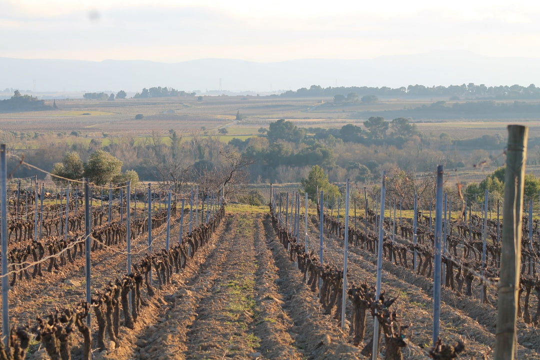 Domaine des Aires Hautes