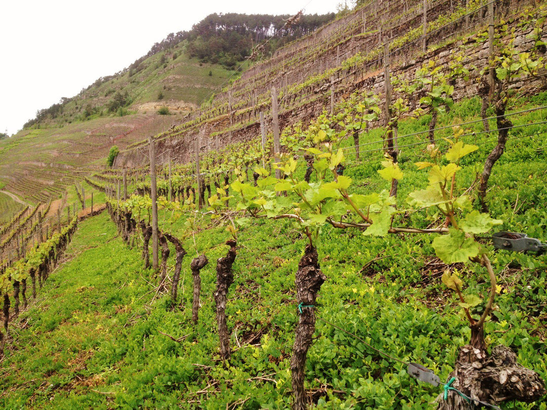 Josef Drahten GMBH & CO. KG