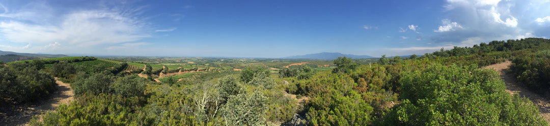 Roussillon