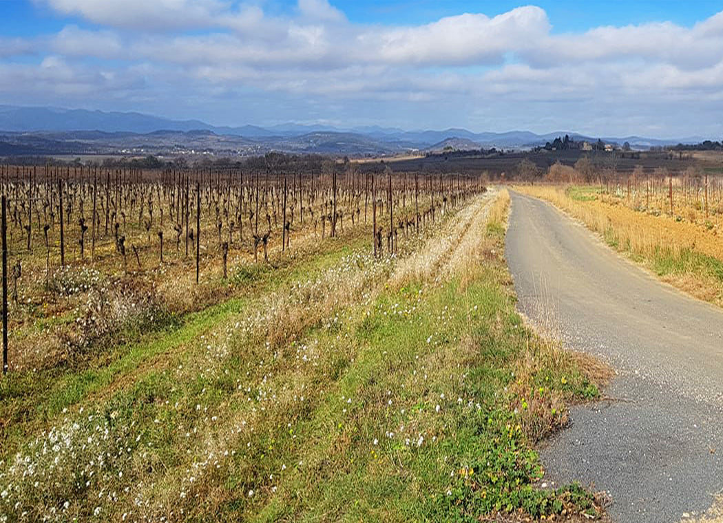 Domaine des Montarels