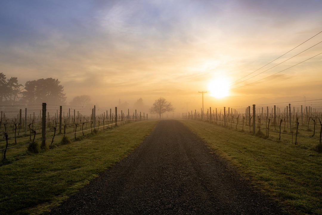 Palliser Estate Ltd.