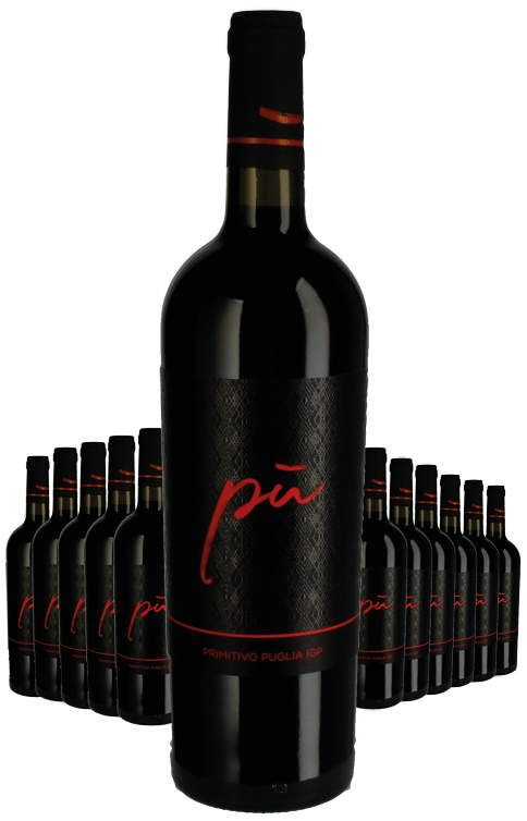 Paket 12 Flaschen Piu Primitivo IGP Puglia