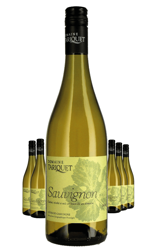 Paket 6 Flaschen Tariquet Sauvignon Blanc