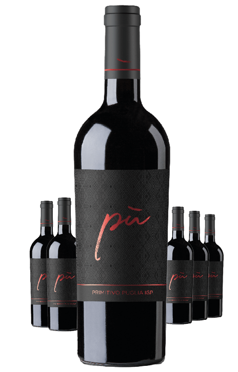 Paket 6 Flaschen Terre di Sava Piu Primitivo Puglia
