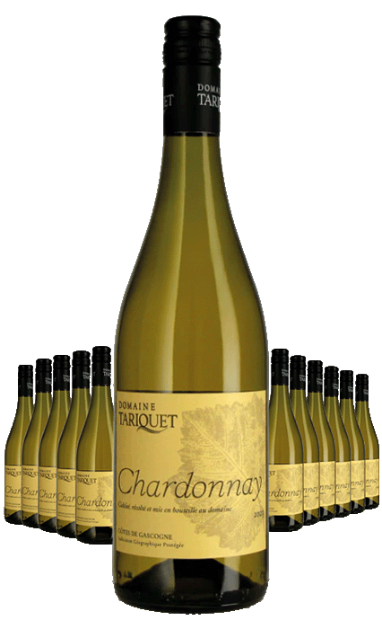 Paket 12 Flaschen Domaine Tariquet Sauvignon Blanc